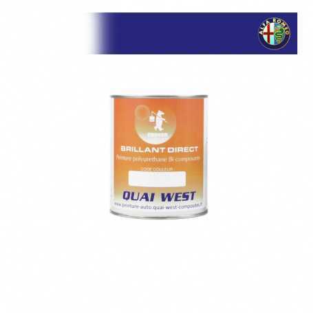 Peinture Triumph Brillant direct