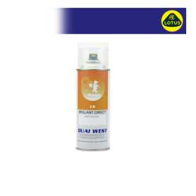 Aérosol Peinture 2K Lotus brillant direct