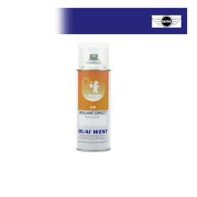 Aérosol Peinture 2K Mini brillant direct