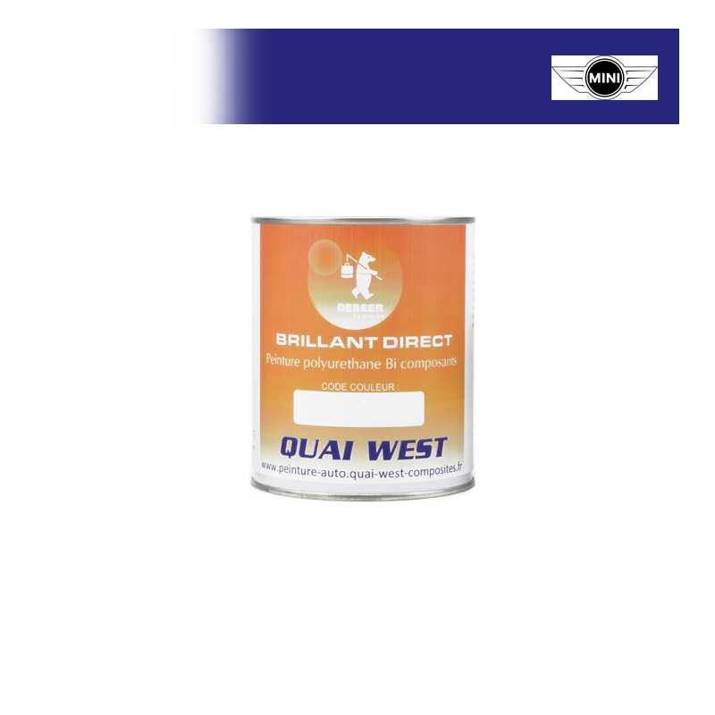 Peinture Mini Brillant direct