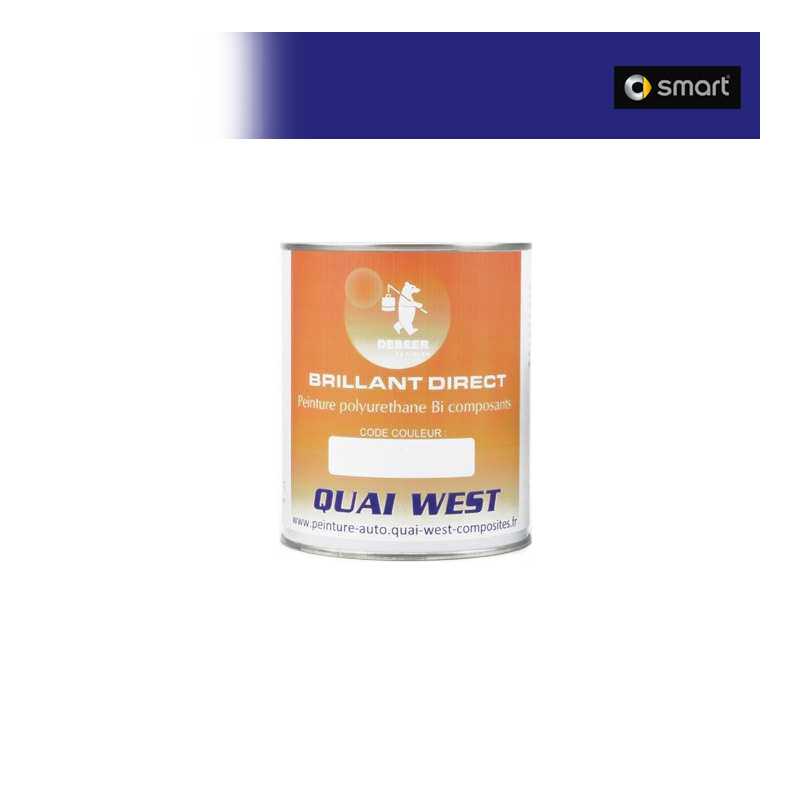 Peinture Smart Brillant direct