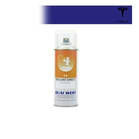 Aérosol Peinture 2K Tesla brillant direct