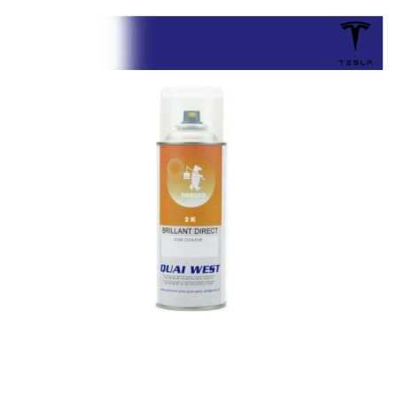 Aérosol Peinture 2K Tesla brillant direct