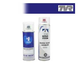 Kit Aérosol Peinture TVR bi-couches solvantée avec vernis