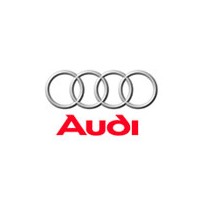 Peinture Audi