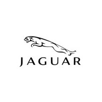 Peinture Jaguar