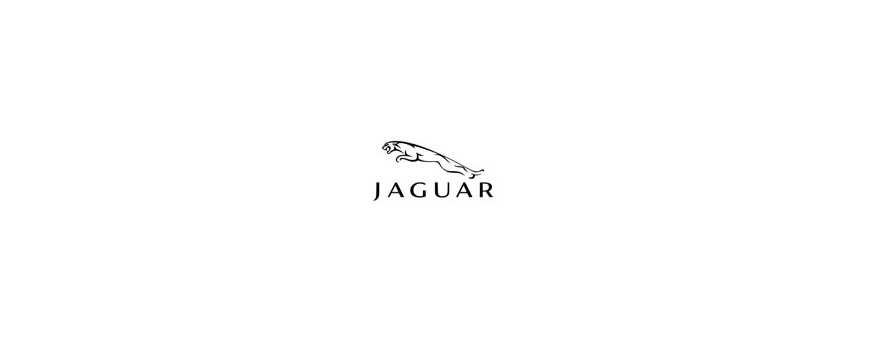 Peinture Jaguar
