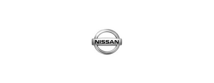 Peinture Nissan