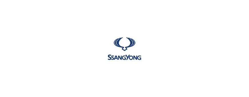Peinture Ssangyong